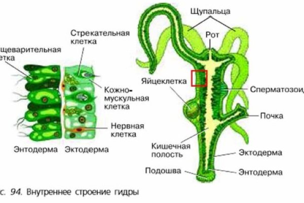 Кракен официальная kr2web in