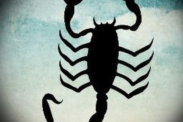 Зеркала тор