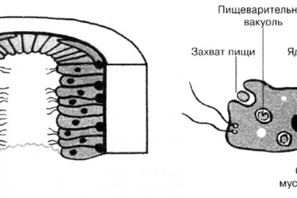 Маркет плей кракен